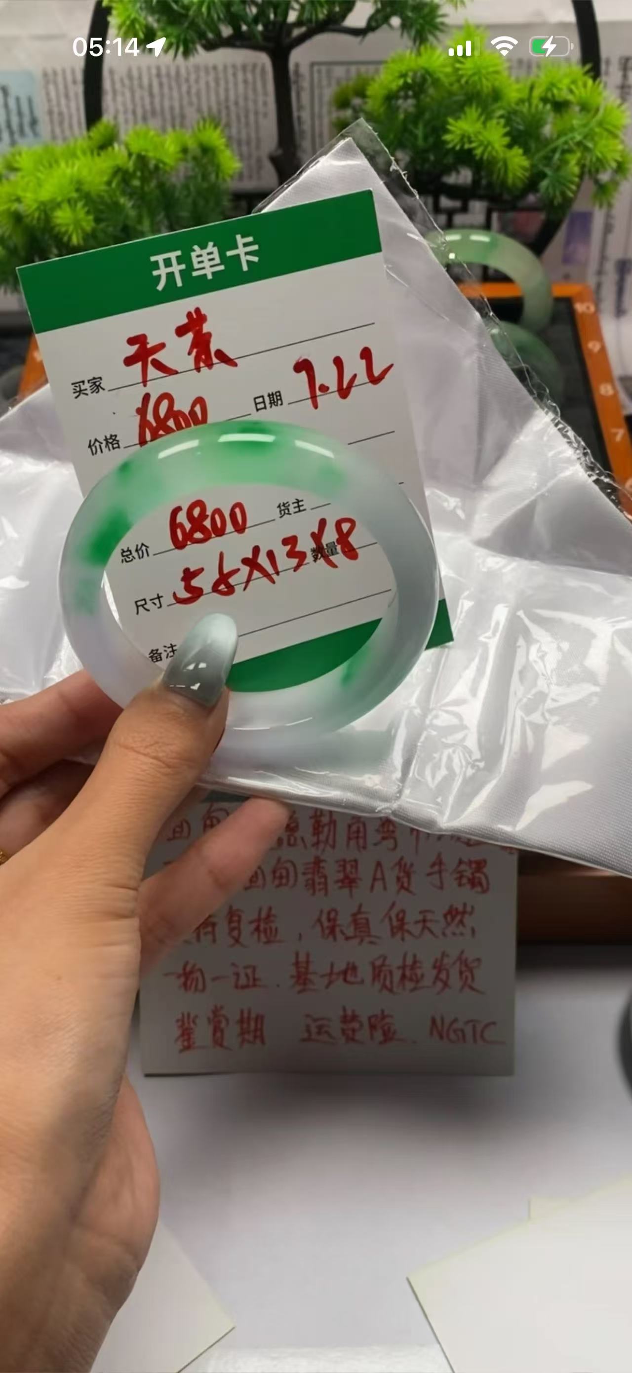 天茶姐